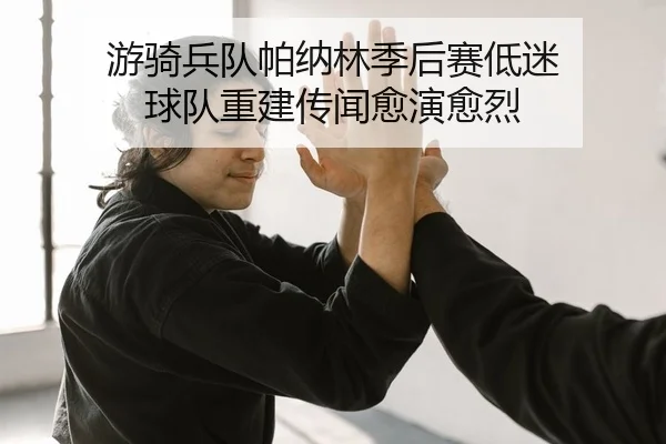 you-qi-bing-dui-pa-na-lin-ji-hou-sai-di-mi-qiu-dui-chong-jian-chuan-wen-yu-yan-yu-lie-2-212.jpg